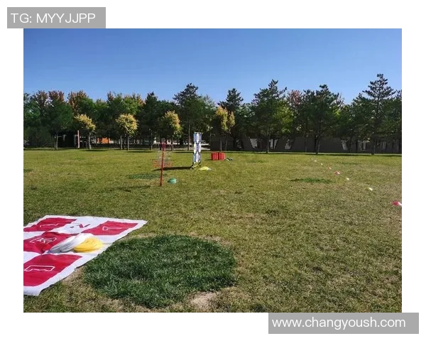 科学飞盘训练方法全解析助力提升运动表现与技巧提升 科学飞盘训练方法全解析助力提升运动表现与技巧提升