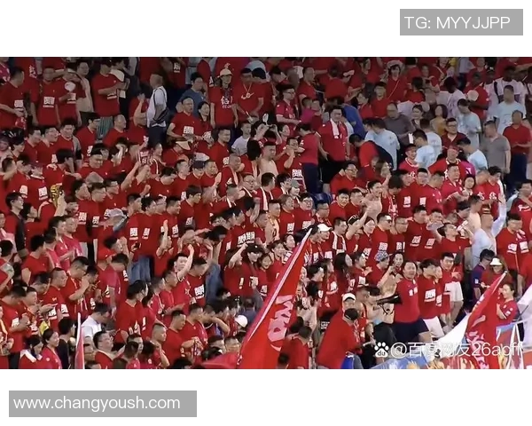 越南足球比赛精彩纷呈球迷热情高涨助力球队争夺荣誉