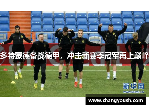 多特蒙德备战德甲，冲击新赛季冠军再上巅峰