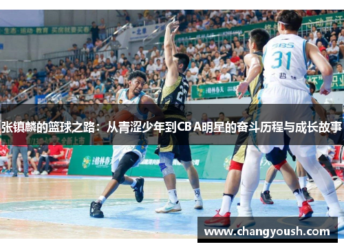 张镇麟的篮球之路：从青涩少年到CBA明星的奋斗历程与成长故事